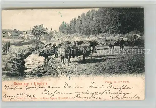 AK / Ansichtskarte Braunlage Partie an der Bode Braunlage Kat. Braunlage_Harz