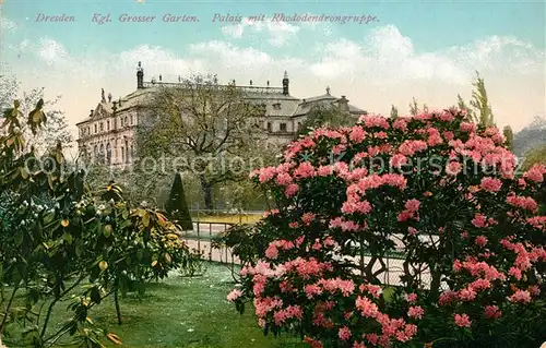 AK / Ansichtskarte Dresden Koeniglich Grosser arten Palais Rhododendrongruppe Dresden Kat. Dresden_Elbe
