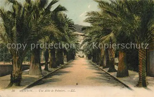 AK / Ansichtskarte Menton_Alpes_Maritimes Une Allee de Palmiers Menton_Alpes_Maritimes Kat. Menton