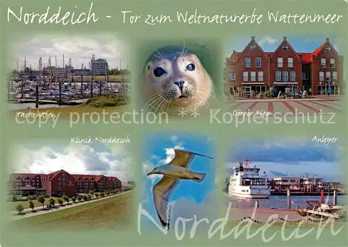 AK / Ansichtskarte Norddeich_Ostfriesland Yachthafen Doerper Weg Klinik Robbe Moewe  Norddeich_Ostfriesland Kat. Norden