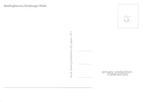 AK / Ansichtskarte Amelinghausen_Lueneburger_Heide Schaefer Kirche  Amelinghausen_Lueneburger Kat. Amelinghausen