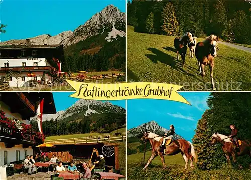 AK / Ansichtskarte Ellmau_Tirol Haflingertraenke Grubhof Pferde  Ellmau Tirol Kat. Ellmau