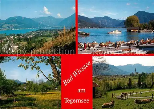 AK / Ansichtskarte Bad_Wiessee_Tegernsee Alpenpanorama Uferpromenade Landschaftspanorama Bad_Wiessee_Tegernsee