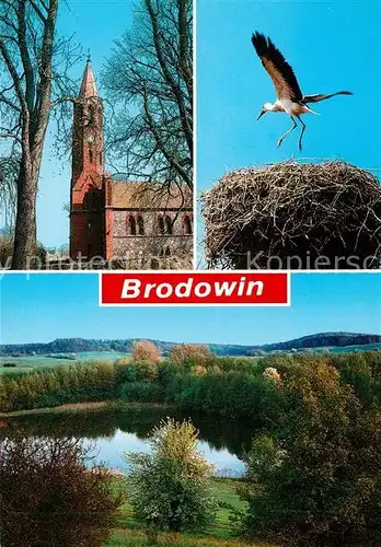 AK / Ansichtskarte Brodowin Kirche Storch Storchennest Landschaftspanorama Wesensee Brodowin Kat. Chorin