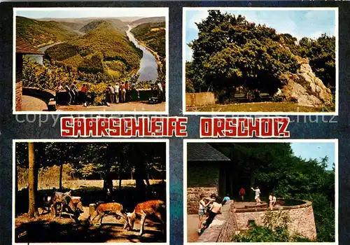 AK / Ansichtskarte Orscholz Landschaftspanorama Saarschleife Aussichtsplattform Wild Orscholz Kat. Mettlach