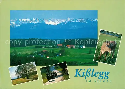 AK / Ansichtskarte Kisslegg Landschaftspanorama mit Alpenkette Kutschfahrten Kuh Kisslegg Kat. Kisslegg