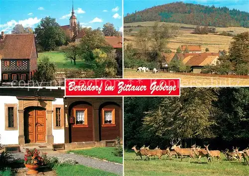 AK / Ansichtskarte Bertsdorf Hoernitz Kirche Breitenberg Sandsteintuerstock Wildgehege Zittauer Gebirge Bertsdorf Hoernitz Kat. Bertsdorf Hoernitz