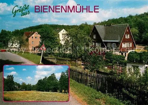 AK / Ansichtskarte Bienenmuehle_Rechenberg_Osterzgebirge Dorfstrasse Muldenwiese 