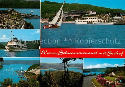 AK / Ansichtskarte Rurtalsperre_Schwammenauel Fliegeraufnahme Faehrschiff Anlegestelle Park Rurtalsperre