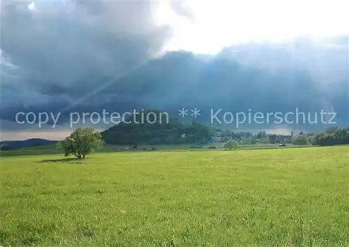 AK / Ansichtskarte Wittlich Panorama Wittlich Kat. Wittlich