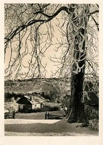 AK / Ansichtskarte Dresden Panorama Dresden Kat. Dresden_Elbe