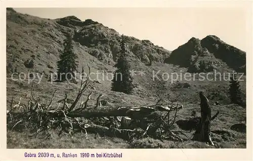 AK / Ansichtskarte Kitzbuehel_Tirol mit Gebra und Ranken Kitzbuehel Tirol Kat. Kitzbuehel