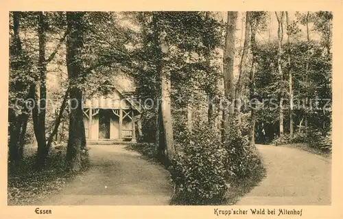 AK / Ansichtskarte Essen_Ruhr Kruppscher Wald bei Altenhof Essen_Ruhr Kat. Essen