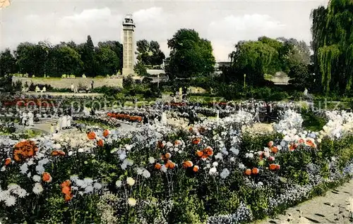 AK / Ansichtskarte Essen_Ruhr Gruga Park Dahlienarena Essen_Ruhr Kat. Essen