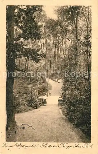 AK / Ansichtskarte Ruettenscheid Partie im Kruppschen Park Ruettenscheid Kat. Essen