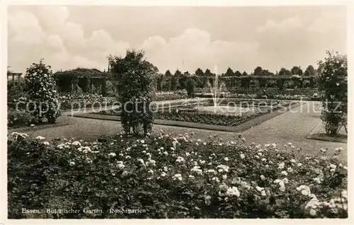 AK / Ansichtskarte Essen_Ruhr Grugapark Botanischer Garten Rosengarten Essen_Ruhr Kat. Essen