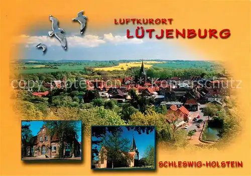 AK / Ansichtskarte Luetjenburg_Holstein Panorama Kirche Moewen Luetjenburg_Holstein