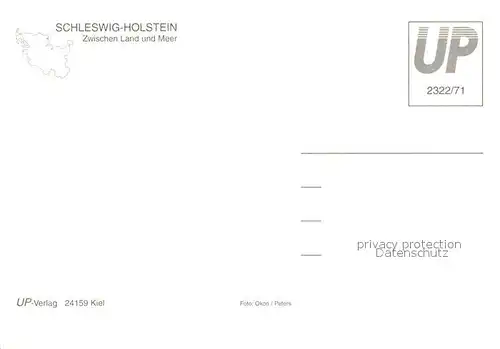 AK / Ansichtskarte Luetjenburg_Holstein Panorama Kirche Moewen Luetjenburg_Holstein