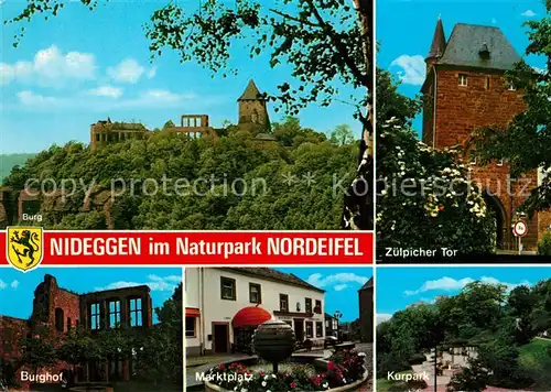 AK / Ansichtskarte Nideggen_Eifel Marktplatz Burghof Burg Zuelpicher Tor Nideggen Eifel