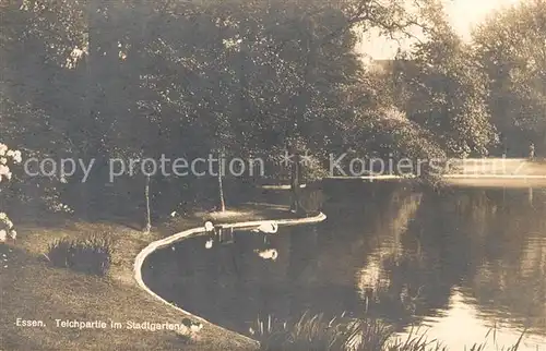 AK / Ansichtskarte Essen_Ruhr Teichpartie im Stadtgarten Essen_Ruhr