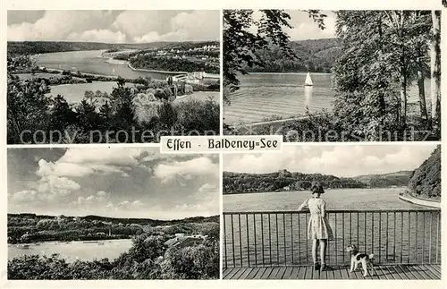 AK / Ansichtskarte Essen_Ruhr Baldeney See Details Essen_Ruhr