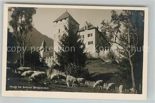 AK / Ansichtskarte Obervellach_Kaernten Schloss Groppenstein Obervellach_Kaernten