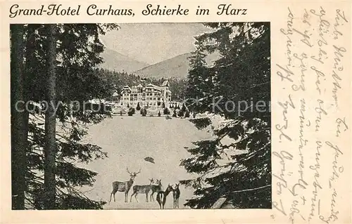 AK / Ansichtskarte Schierke_Harz Grand Hotel Curhaus Schierke Harz