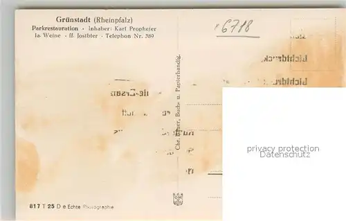 AK / Ansichtskarte Gruenstadt Rheinpfalz Parkrestaurant Gruenstadt