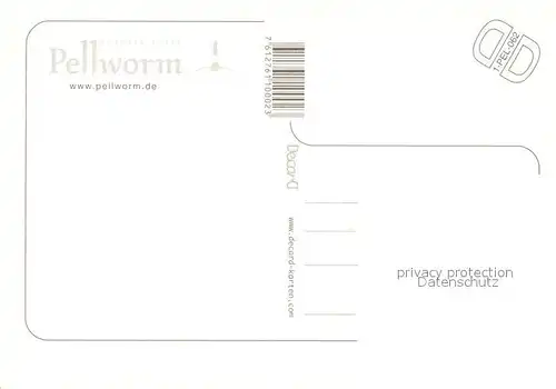 AK / Ansichtskarte Pellworm Fliegeraufnahme Leuchtturm Moewe Pellworm