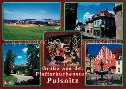 AK / Ansichtskarte Pulsnitz_Sachsen Schlossklinik Pfefferkuchen Marktansticht Pulsnitz Sachsen