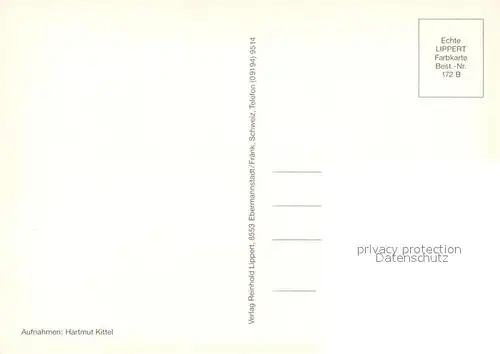 AK / Ansichtskarte Reichenbach_Vogtland Kaufhaus Kirche  Reichenbach_Vogtland