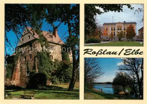 AK / Ansichtskarte Rosslau_Elbe Burg Rathaus Elbwiesen  Rosslau_Elbe