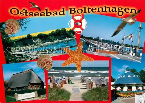AK / Ansichtskarte Boltenhagen_Ostseebad Strand Seebruecke Reetdachhaus Seestern Muscheln Moewe Boltenhagen_Ostseebad