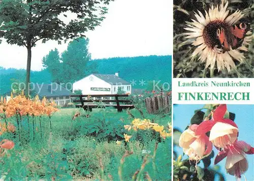 AK / Ansichtskarte Dirmingen Gasthaus Finkenrech Silberdistel  Dirmingen