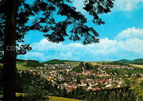 AK / Ansichtskarte Daun_Eifel Panorama Daun_Eifel