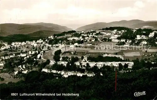 AK / Ansichtskarte Wilhelmsfeld Luftkurort Fliegeraufnahme Wilhelmsfeld