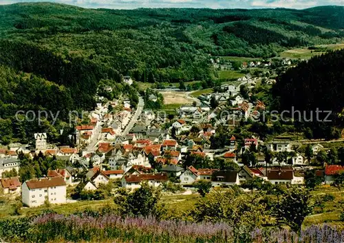 AK / Ansichtskarte Schmitten_Taunus Panorama Hoehenluftkurort Schmitten Taunus
