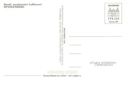 AK / Ansichtskarte Spangenberg_Hessen Romantische Altstadt Fachwerkhaeuser Rathaus Schloss Rosen Spangenberg Hessen