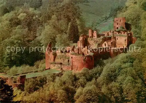 AK / Ansichtskarte Bad_Duerkheim Burg Hardenburg 13. Jhdt. Bad_Duerkheim