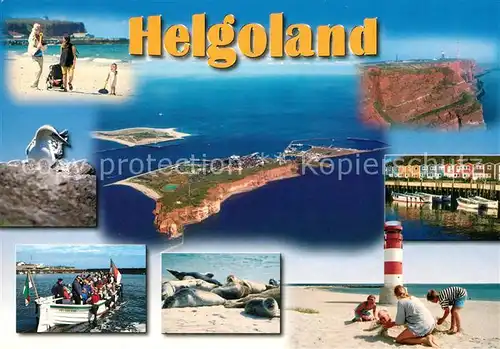 AK / Ansichtskarte Helgoland Strand Ausbootung Seevoegel Seehunde Leuchtturm Fliegeraufnahme Helgoland