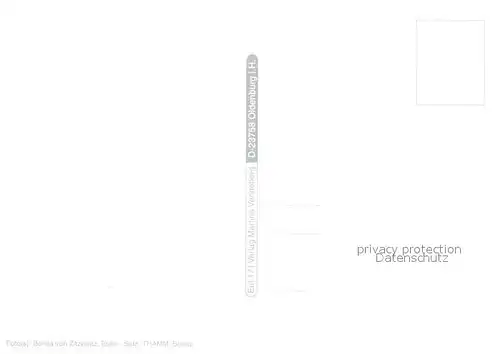 AK / Ansichtskarte Eutin Skulpturen Brunnen Fachwerkhaus Kirchturm Uferpartie am See Naturpark Holsteinische Schweiz Eutin