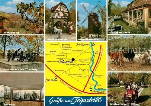 AK / Ansichtskarte Cleebronn Altweibermuehle Tripsdrill Wildparadies Stromberg Kanonen Michaelsberg Landkarte Cleebronn