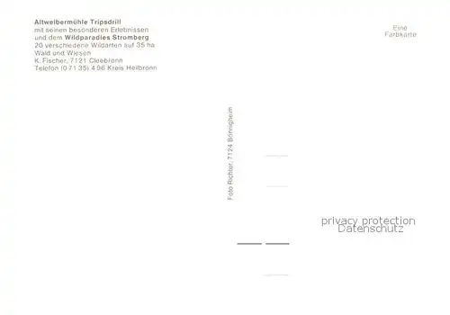 AK / Ansichtskarte Cleebronn Altweibermuehle Tripsdrill Wildparadies Stromberg Kanonen Michaelsberg Landkarte Cleebronn