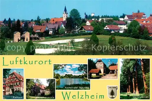 AK / Ansichtskarte Welzheim Ortsmotiv mit Kirche Aichstruter Stausee Museum Wellingtonien Riesenmammutbaum Muehle Rathaus Welzheim