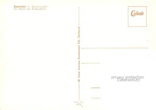 AK / Ansichtskarte Zavelstein Kleinste Stadt Wuerttembergs Krokusbluete Schwarzwald Zavelstein