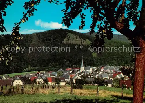 AK / Ansichtskarte Freienohl_Sauerland Ortsansicht Freienohl_Sauerland