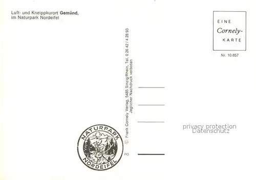 AK / Ansichtskarte Gemuend_Eifel Stadtansichten Kirchen Park Gemuend Eifel