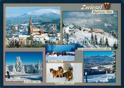 AK / Ansichtskarte Zwiesel_Niederbayern Arber Schutzhaus Eisensteiner Huette  Zwiesel Niederbayern