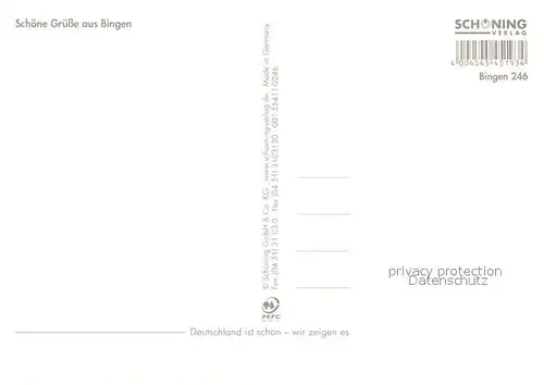 AK / Ansichtskarte Bingen_Rhein Nahemuendung Fliegeraufnahme Burg Klopp Maeuseturm Ehrenfels Bingen Rhein