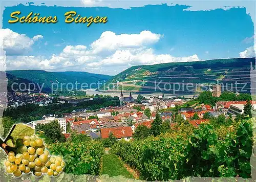 AK / Ansichtskarte Bingen_Rhein Panorama Bingen Rhein